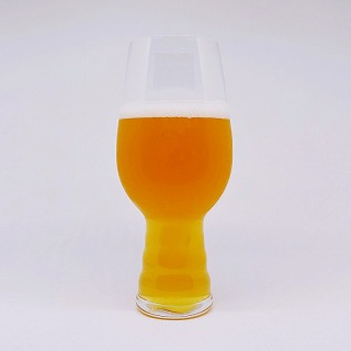 PIKE SPACE NEEDLE IPA / パイク スペースニードル アイピーエー