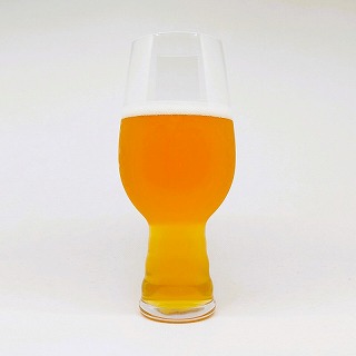 REVISION IPA / リヴィジョンアイピーエー